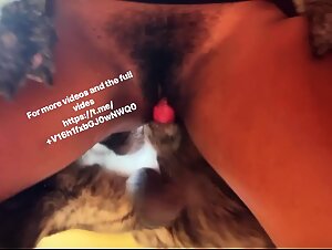 Sumergete en un mundo de deseos prohibidos. Explora la zoofilia a traves de relatos sensuales y eroticos, disenados para un publico consciente.